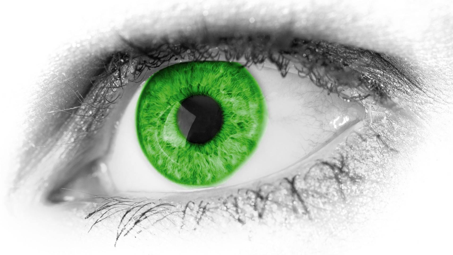 Se former pour travailler dans le monde de l’optique